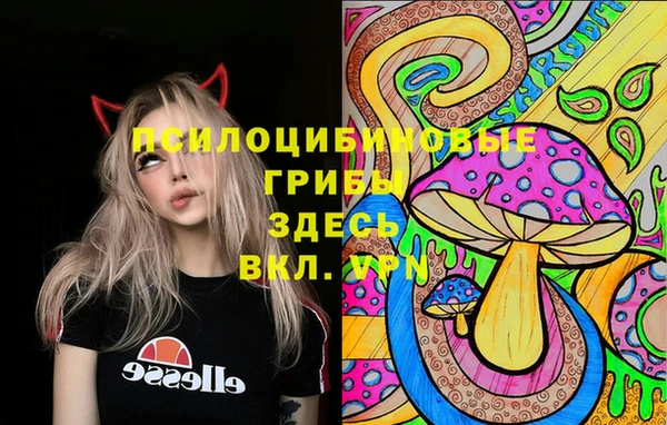 кокаин колумбия Богданович