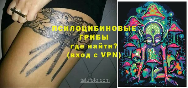 кокаин колумбия Богданович